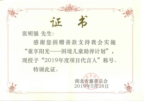 湖北省慈善总会颁发的2019年度”童享阳光-关爱困境儿童“捐赠证书(1).jpg